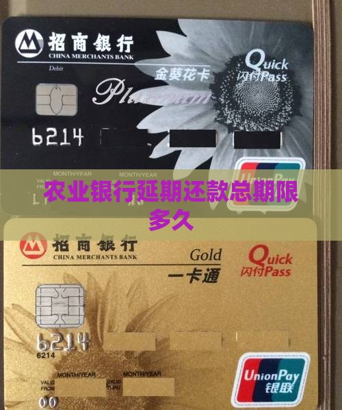农业银行延期还款总期限多久