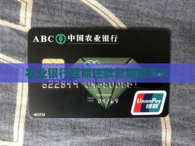 农业银行延期还款总期限多久