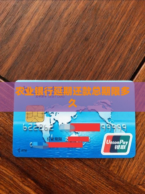农业银行延期还款总期限多久