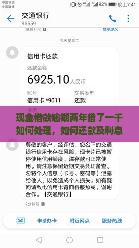 现金借款逾期两年借了一千如何处理