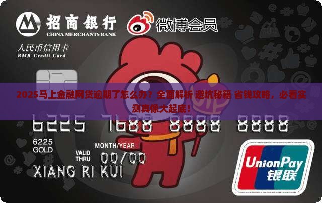 马上金融网贷逾期了怎么办