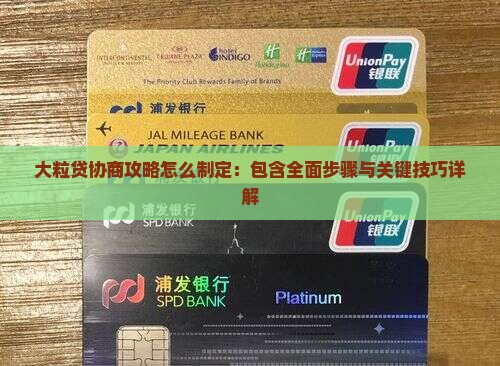 大粒贷协商攻略怎么制定