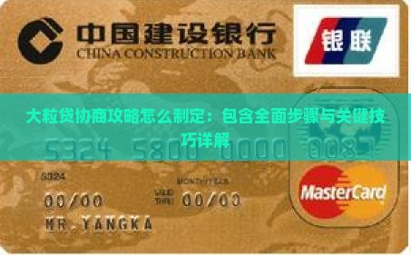 大粒贷协商攻略怎么制定