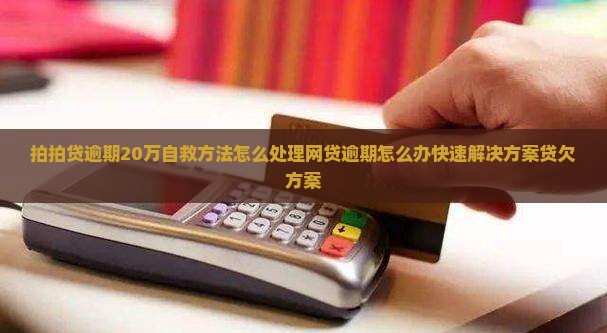 拍拍贷逾期20万怎么办快速解决方案