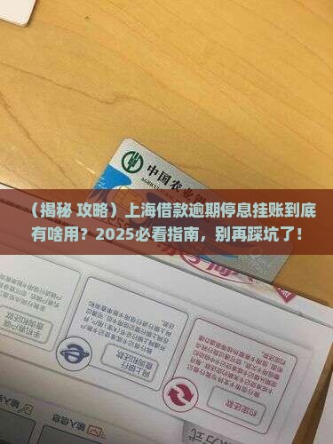 上海借款逾期停息挂账的作用是什么