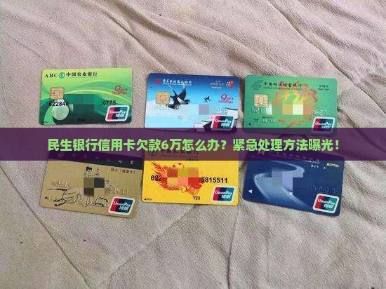 民生银行信用卡欠款6万怎么办