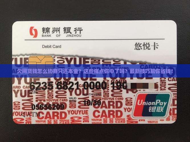 欠网贷钱怎么协商只还本金的技巧