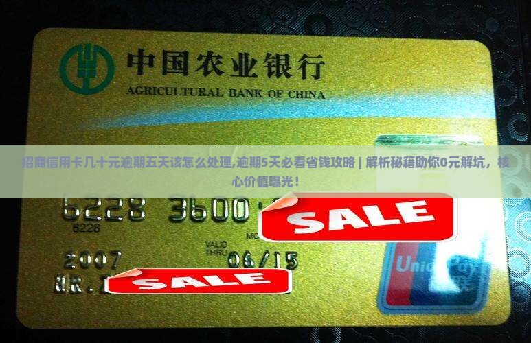 招商信用卡几十元逾期五天该怎么处理