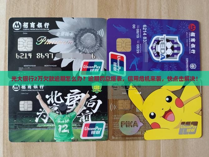 光大银行2万欠款逾期怎么办