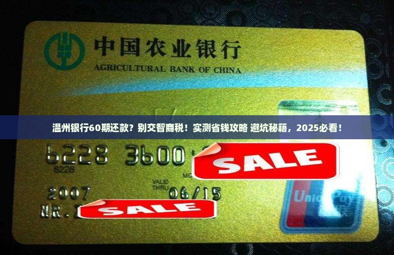 温州银行60期还款协商攻略