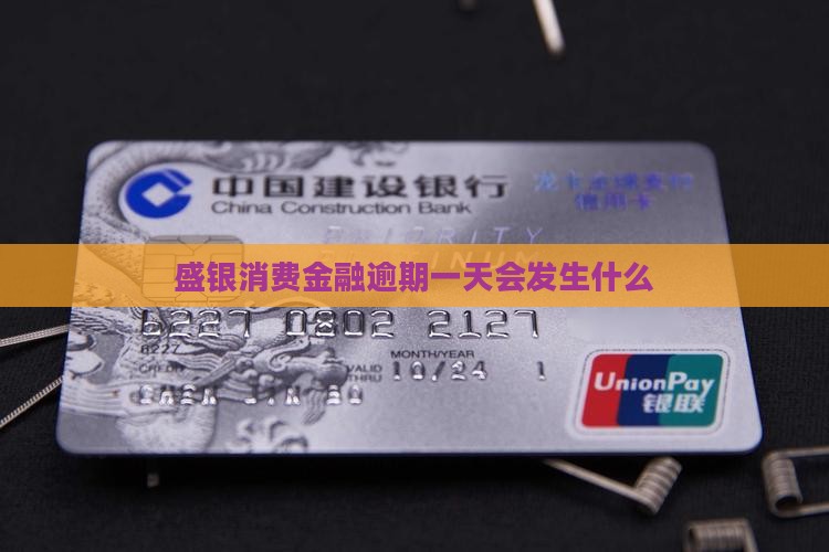 盛银消费金融逾期一天会发生什么