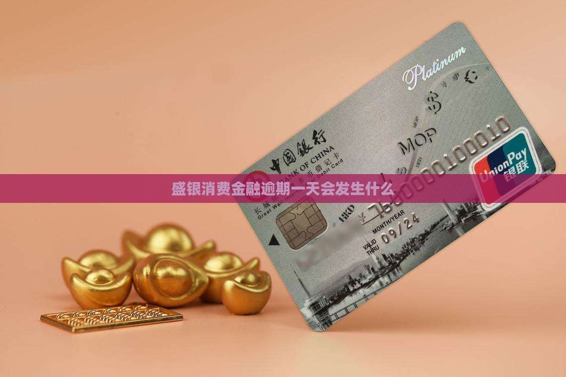 盛银消费金融逾期一天会发生什么