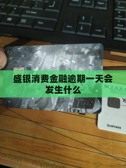 盛银消费金融逾期一天会发生什么