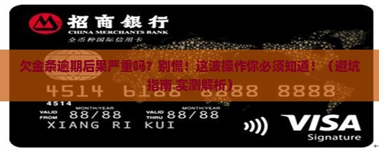 欠白条金条逾期后果严重吗