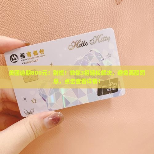 美团逾期800元
