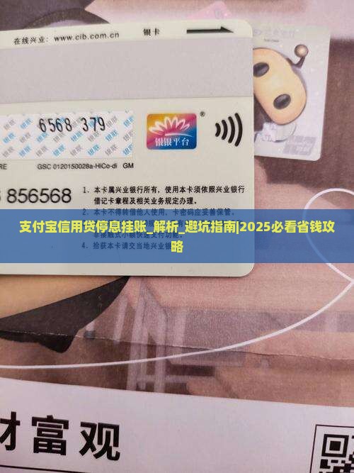 支付宝信用贷停息挂账详解