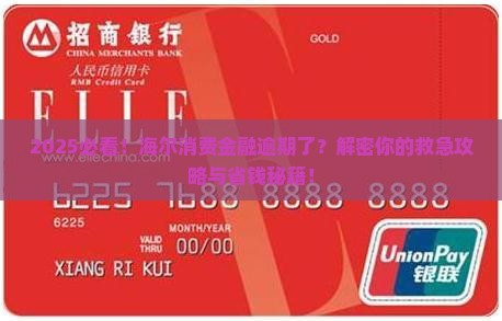 海尔消费金融恶意逾期了怎么办