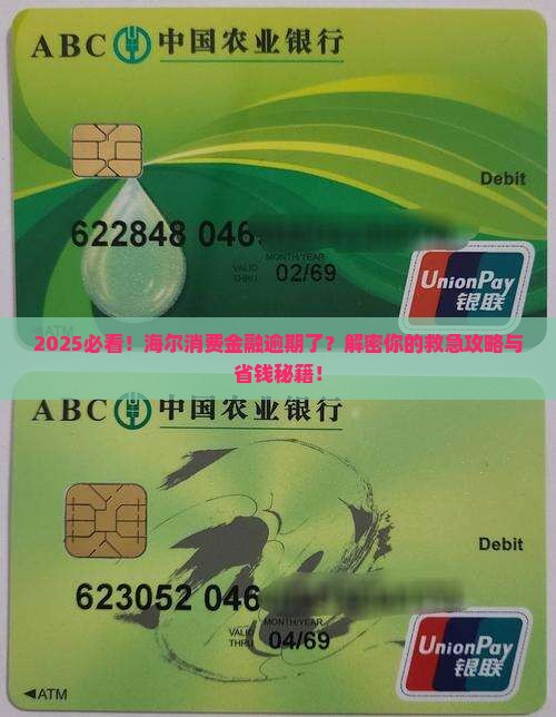 海尔消费金融恶意逾期了怎么办
