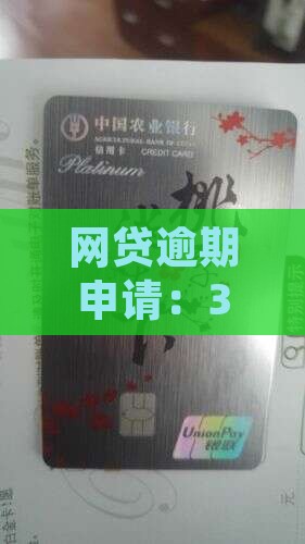 360网贷挂账停息流程解析