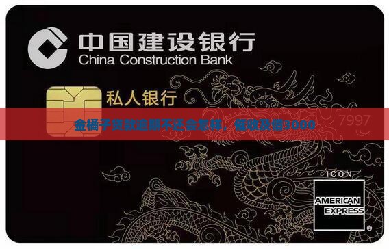 金橘子贷款逾期