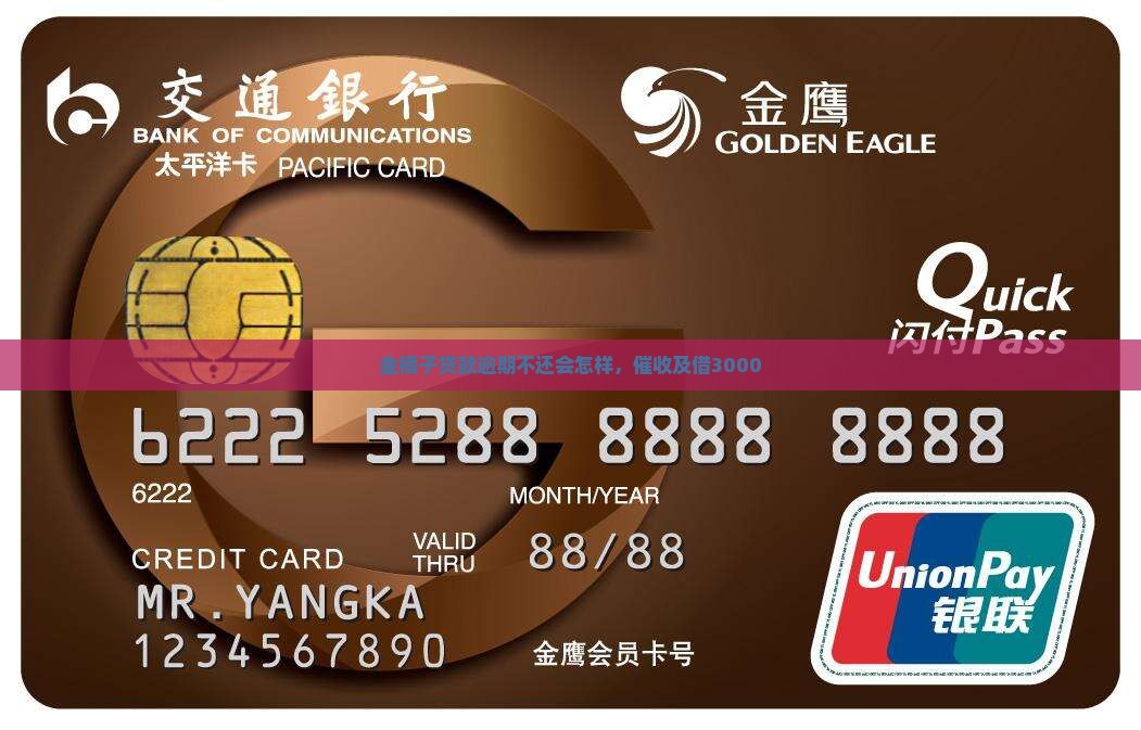 金橘子贷款逾期