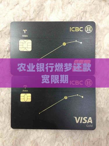 农业银行燃梦还款宽限期
