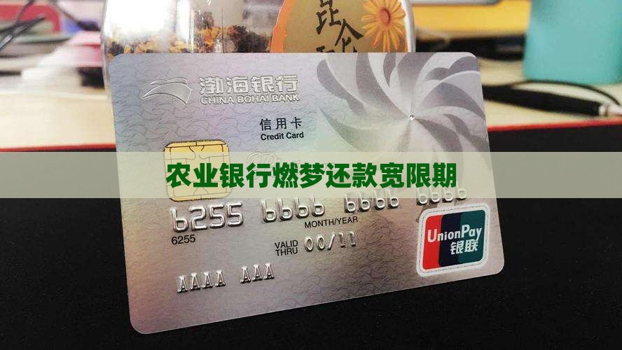 农业银行燃梦还款宽限期