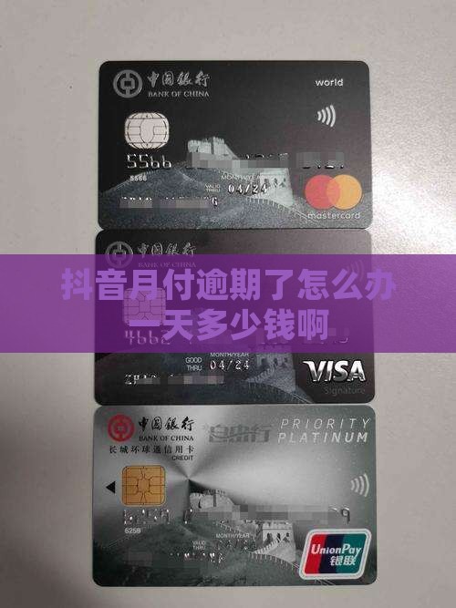 抖音月付逾期了怎么办一天多少钱
