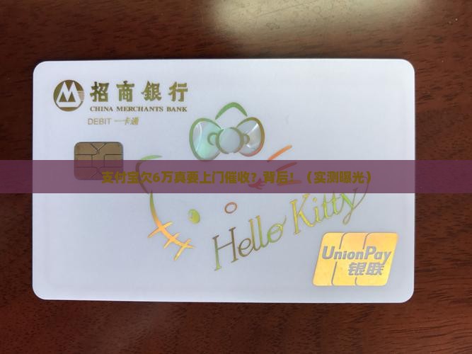 支付宝欠6万上门催收真实吗