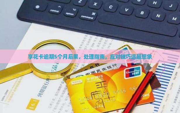 羊小咩享花卡逾期5个月的后果是什么