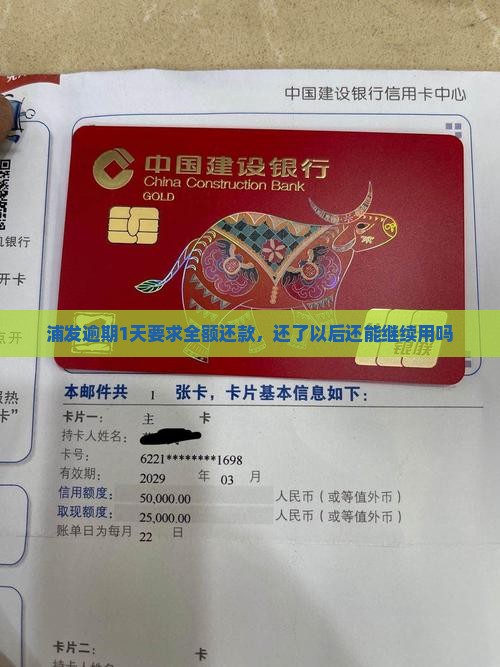 浦发逾期1天要求全额还款