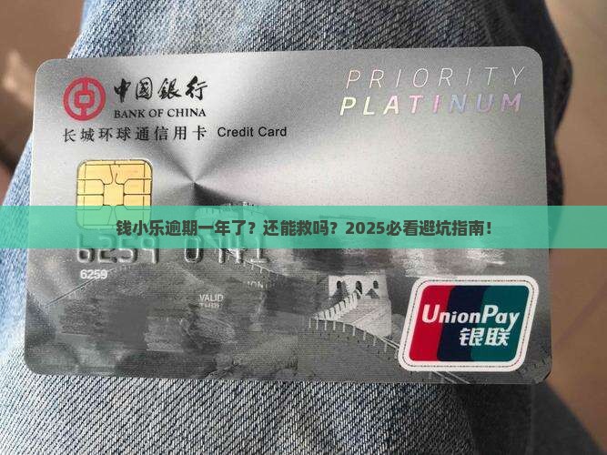 钱小乐逾期一年了怎么办能解决吗
