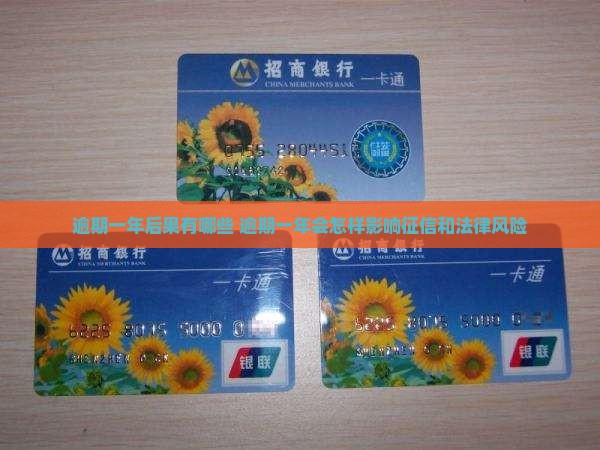 360借条逾期一年后果有哪些