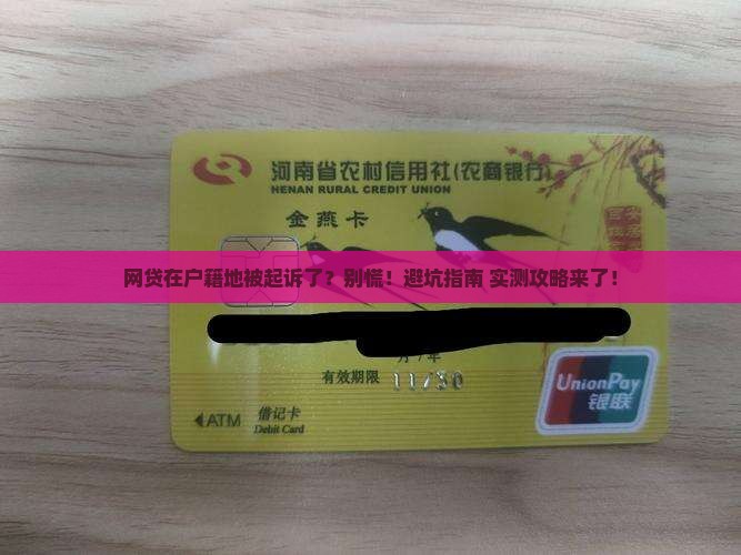网贷在户籍地被起诉了应该怎么应对
