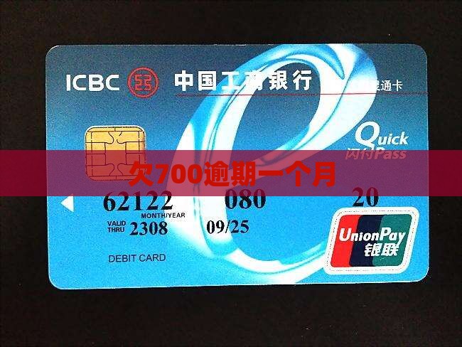 白条欠700逾期一个月