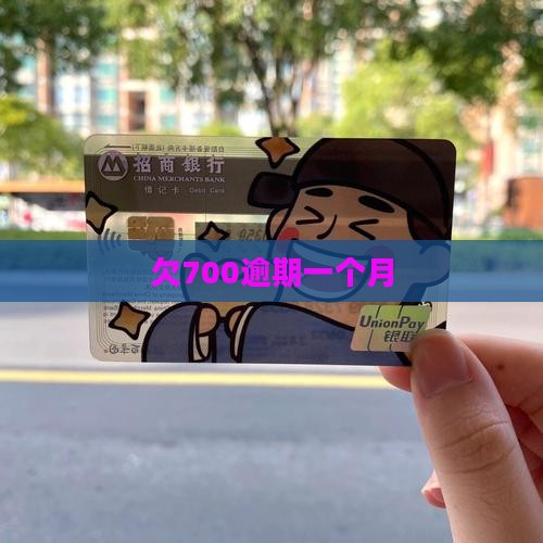 白条欠700逾期一个月