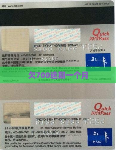 白条欠700逾期一个月