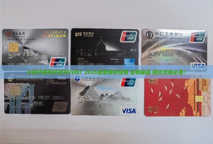 小额贷可以最低还款吗现在