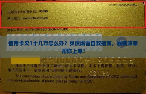 信用卡欠1十几万怎么办