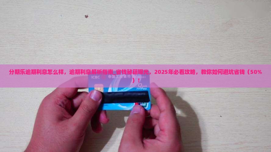 分期乐逾期利息怎么样