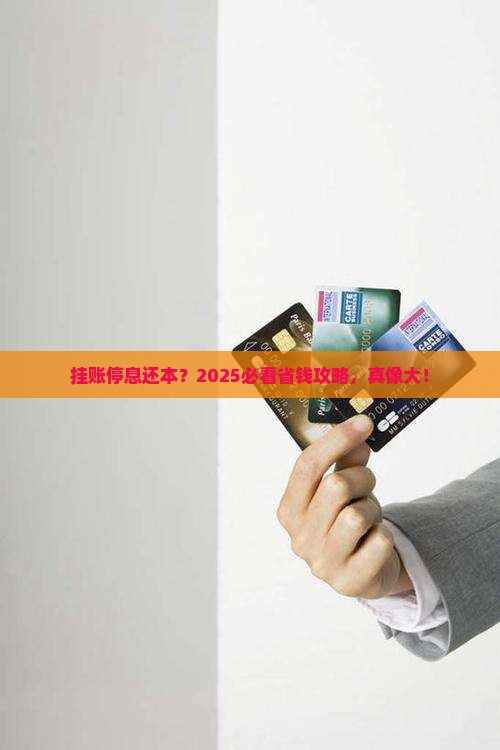 挂账停息还本法律依据