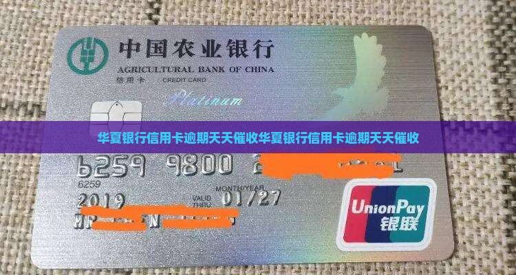 华夏银行信用卡逾期天天催收