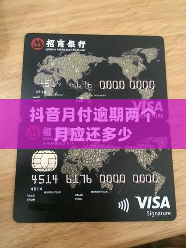 抖音月付逾期两个月应还多少