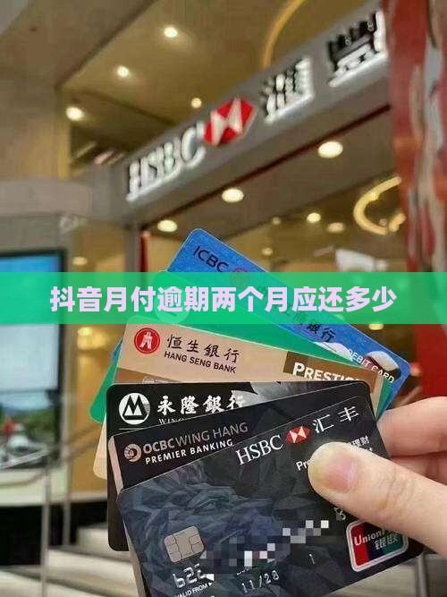 抖音月付逾期两个月应还多少
