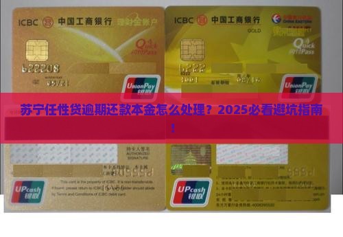 苏宁任性贷逾期还款本金需要注意什么