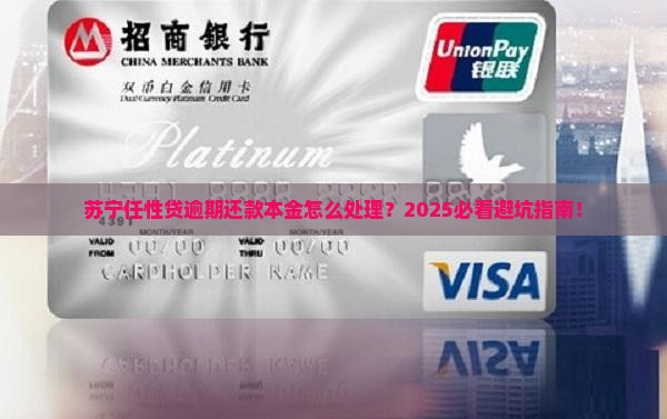 苏宁任性贷逾期还款本金需要注意什么