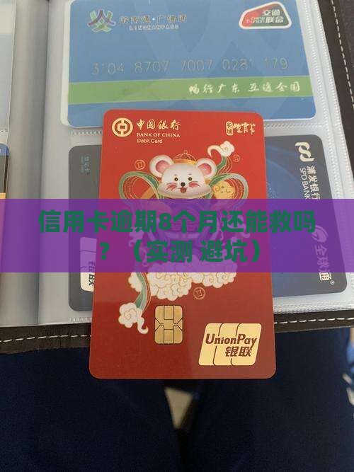 信用卡逾期了8个月