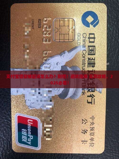 支付宝借款说起诉怎么办