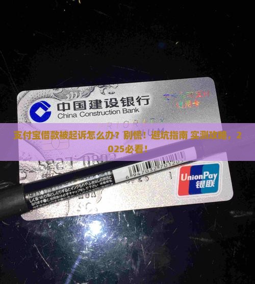支付宝借款说起诉怎么办