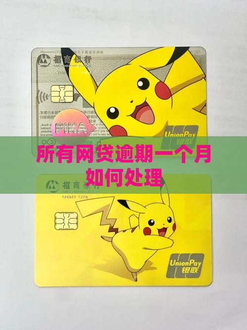 所有网贷逾期一个月如何处理